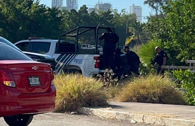 Imagen Placeholder Imagen Placeholder