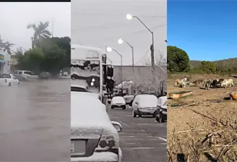 Fenómeno La Niña provocaría cambios inusuales en el clima: lluvias, heladas y sequía