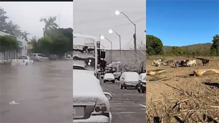 Fenómeno La Niña provocaría cambios inusuales en el clima: lluvias, heladas y sequía Fenómeno La Niña provocaría cambios inusuales en el clima: lluvias, heladas y sequía