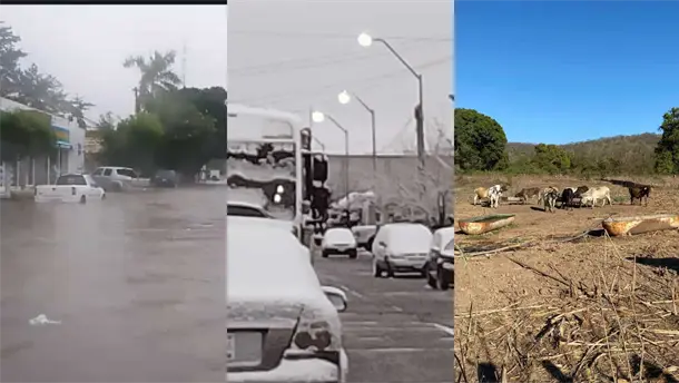 Nota Relacionada de México