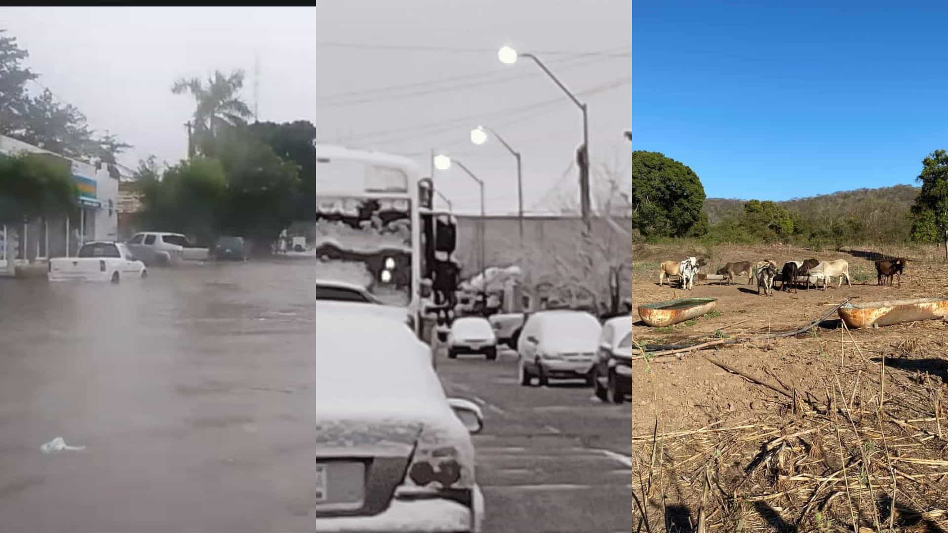 Fenómeno La Niña provocaría cambios inusuales en el clima: lluvias, heladas y sequía