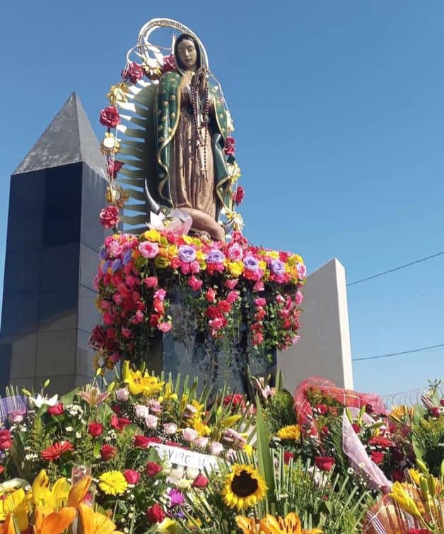 Imagen Placeholder Imagen Placeholder