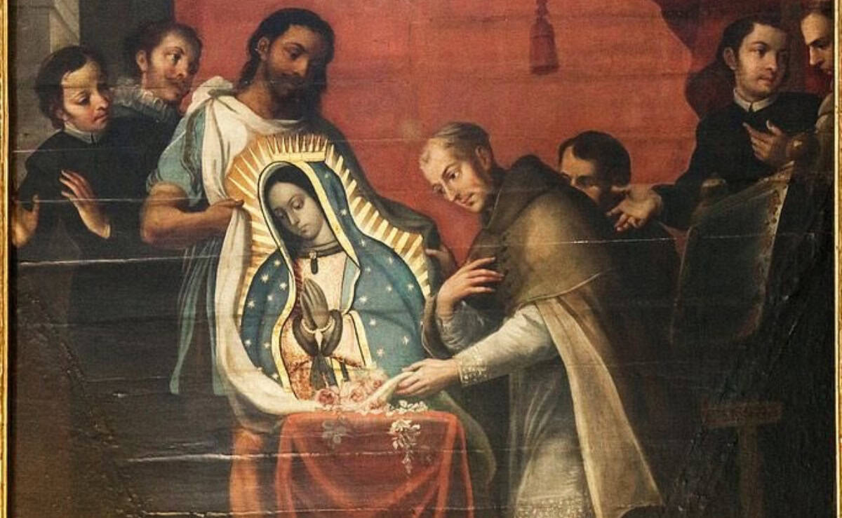 Imagen Placeholder Imagen Placeholder