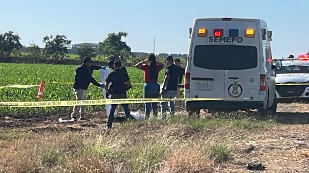 Imagen Placeholder Imagen Placeholder