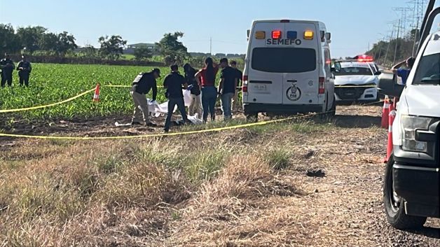 Imagen Placeholder Imagen Placeholder