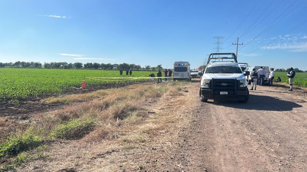 Imagen Placeholder Imagen Placeholder