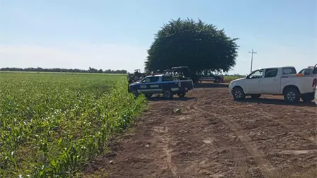 Hallan asesinado a balazos a hombre en tierras de siembra en San Pedro, Navolato Hallan asesinado a balazos a hombre en tierras de siembra en San Pedro, Navolato