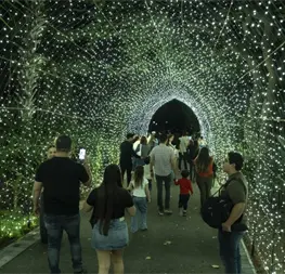 Disfruta la Navidad con luces, ilusión y música en el Jardín Botánico de Culiacán Disfruta la Navidad con luces, ilusión y música en el Jardín Botánico de Culiacán
