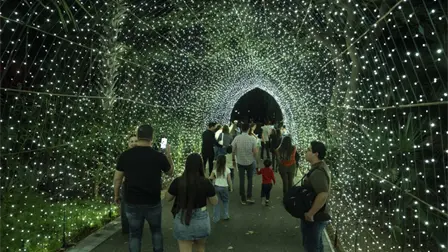 Disfruta la Navidad con luces, ilusión y música en el Jardín Botánico de Culiacán Disfruta la Navidad con luces, ilusión y música en el Jardín Botánico de Culiacán