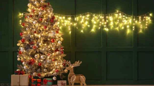 Imagen Placeholder Imagen Placeholder