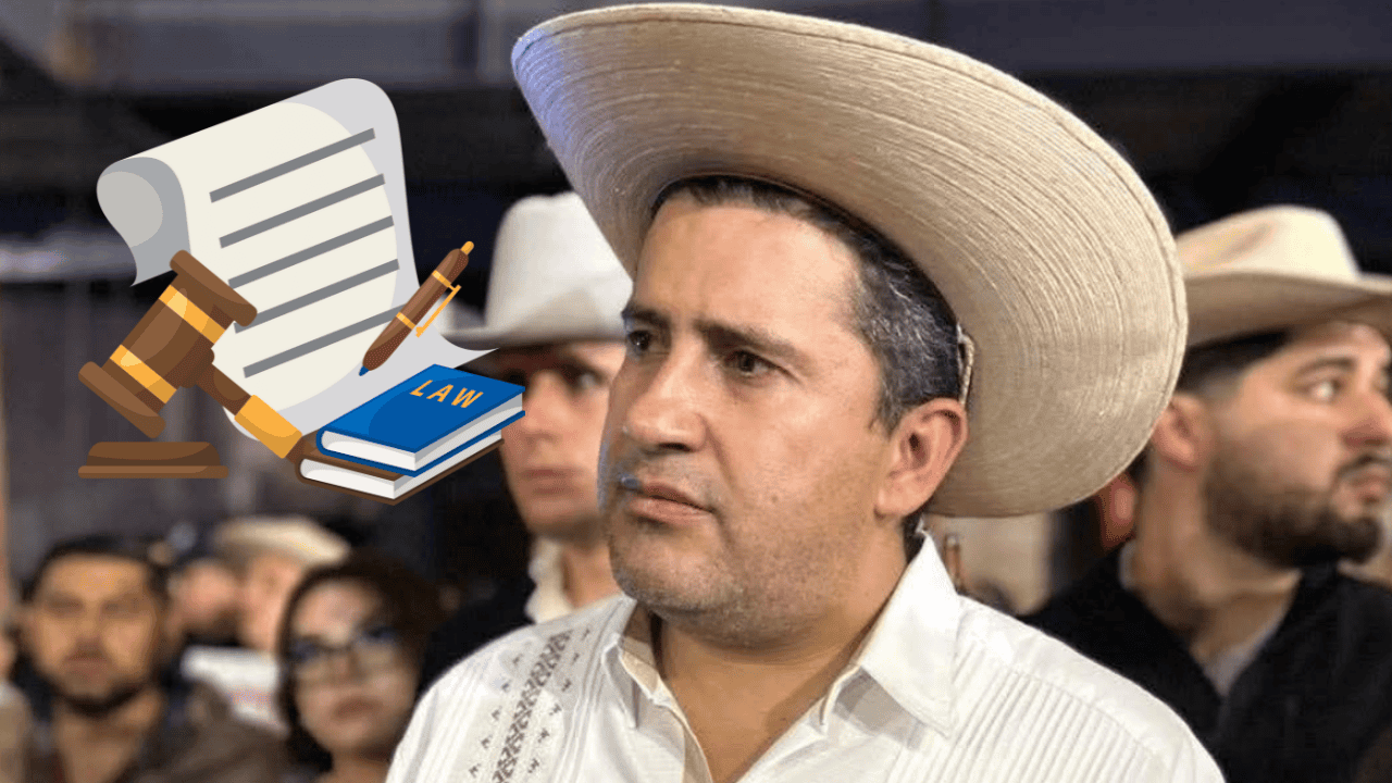 Proponen crear la Ley Manzo, ¿de qué trata la iniciativa?