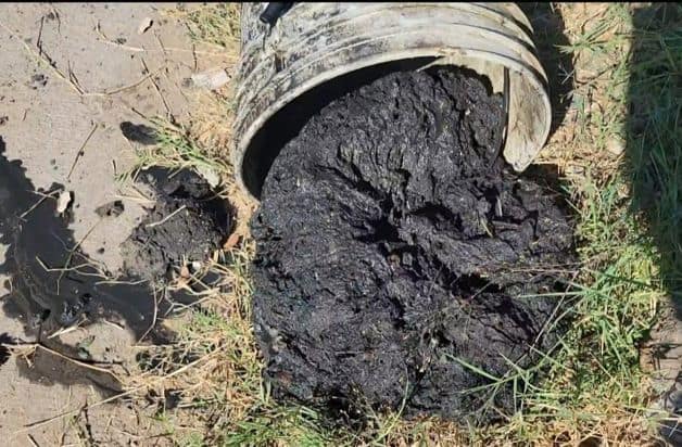 Imagen Placeholder Imagen Placeholder