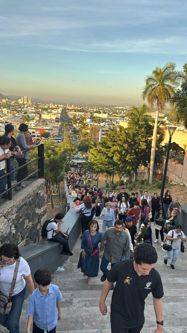 Imagen Placeholder Imagen Placeholder