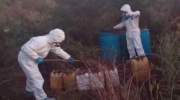 Imagen Placeholder Imagen Placeholder