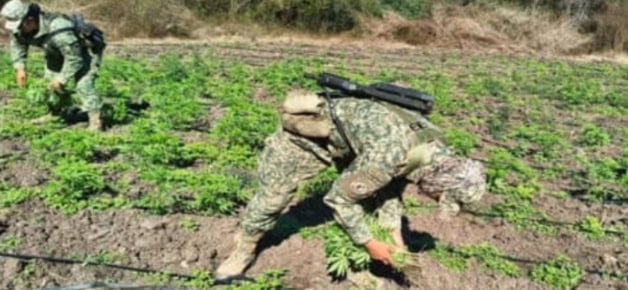 Imagen Placeholder Imagen Placeholder