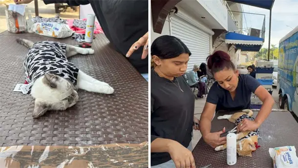 Nota Relacionada de Sinaloa