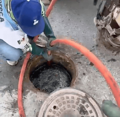 Imagen Placeholder Imagen Placeholder