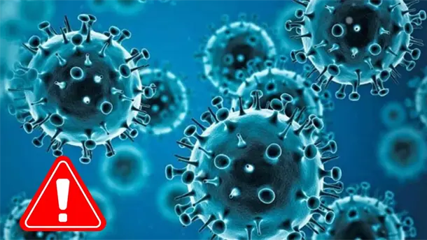 Nota Relacionada de M&eacute;xico