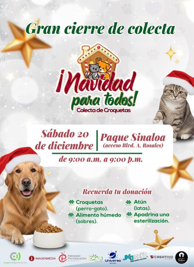 Imagen Placeholder Imagen Placeholder