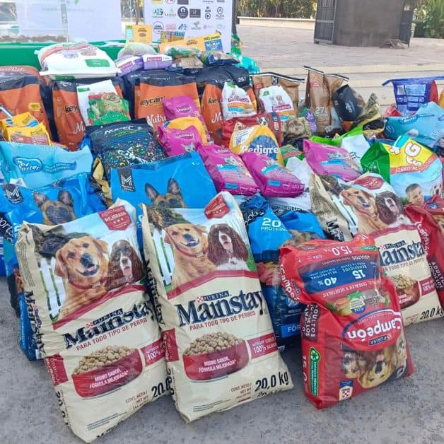 Imagen Placeholder Imagen Placeholder