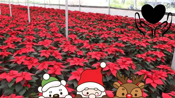 Nota Relacionada de M&eacute;xico