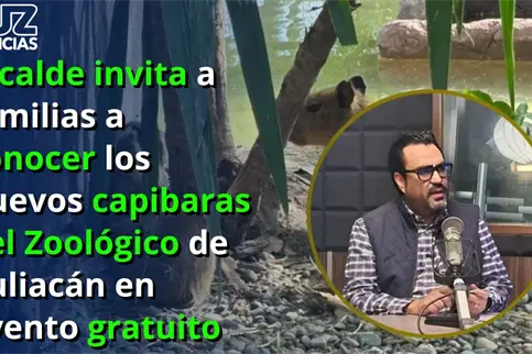 Alcalde invita a conocer los nuevos capibaras del Zool&oacute;gico de Culiac&aacute;n en evento gratuito