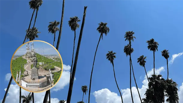 Nota Relacionada de Sinaloa