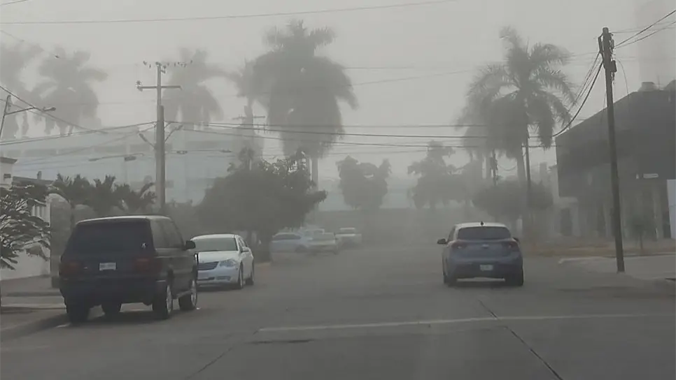 FOTO: ¿Por qué hay tanta niebla en Sinaloa y cómo se forma este fenómeno?