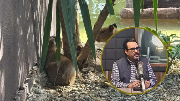 Nota Relacionada de Sinaloa