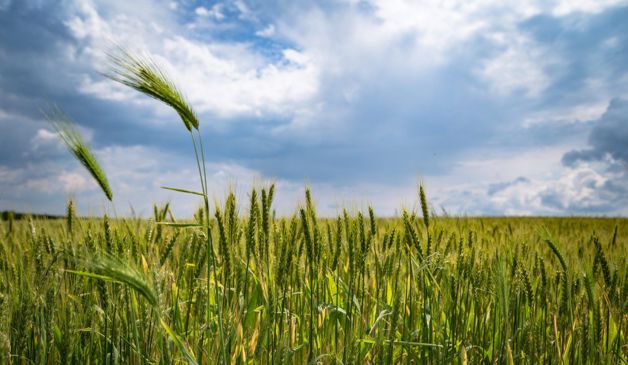 Imagen Placeholder Imagen Placeholder