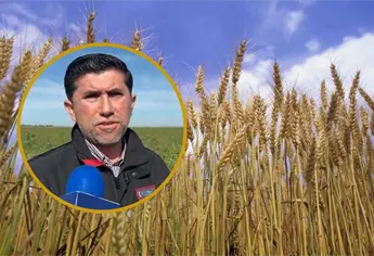 Permisos de siembra en El Carrizo: conoce la fecha límite para el trámite y evita perder apoyos y agua