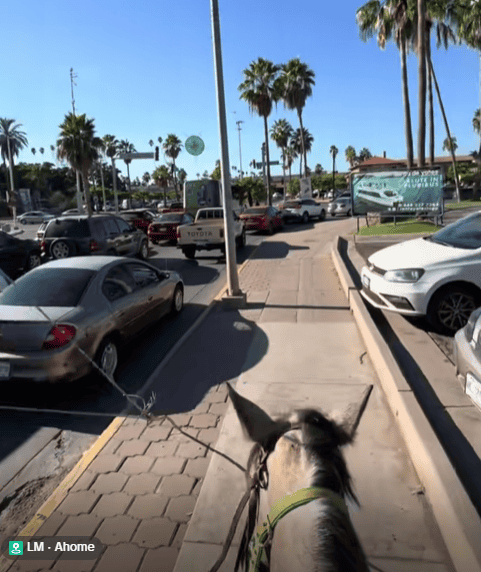 Imagen Placeholder Imagen Placeholder