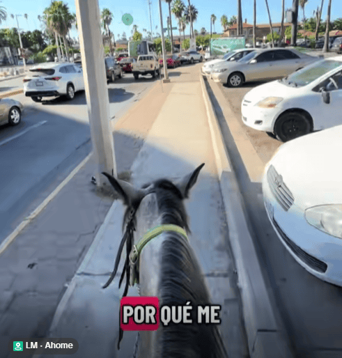 Imagen Placeholder Imagen Placeholder