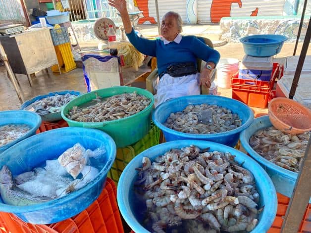 Imagen Placeholder Imagen Placeholder