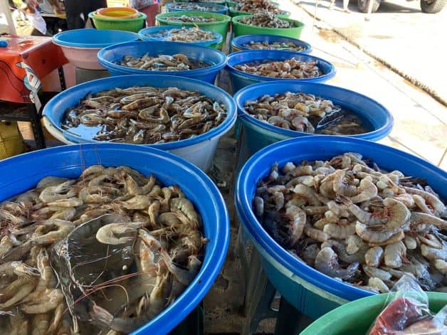 Imagen Placeholder Imagen Placeholder