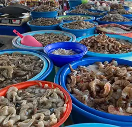 Precio del Camar&oacute;n en Mazatl&aacute;n: &iquest;Cu&aacute;nto cuesta el kilo en las changueras?