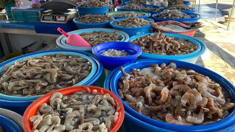 FOTO: Precio del Camarón en Mazatlán: ¿Cuánto cuesta el kilo en las changueras?