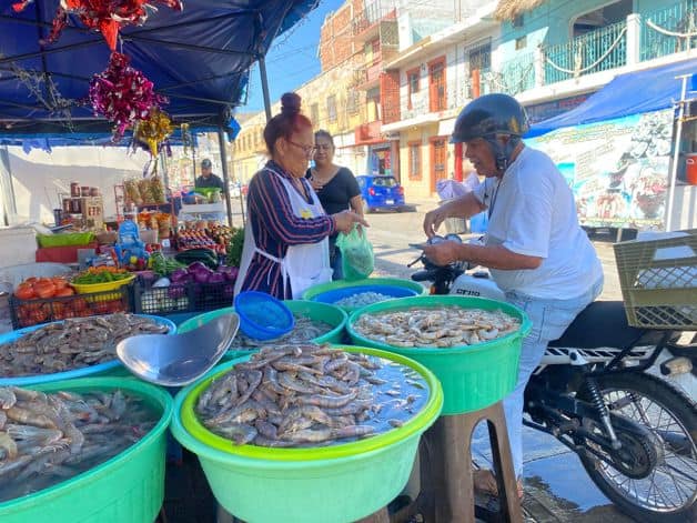 Imagen Placeholder Imagen Placeholder