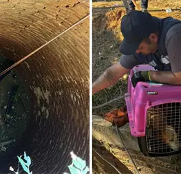 &iexcl;Toda vida importa! Bomberos Mazatl&aacute;n rescatan perrito de tiro de agua