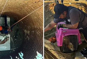 ¡Toda vida importa! Bomberos Mazatlán rescatan perrito de tiro de agua
