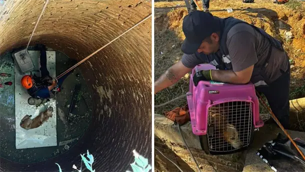 Nota Relacionada de Sinaloa