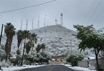 Así se vería Los Mochis si cayera una nevada, según la Inteligencia Artificial