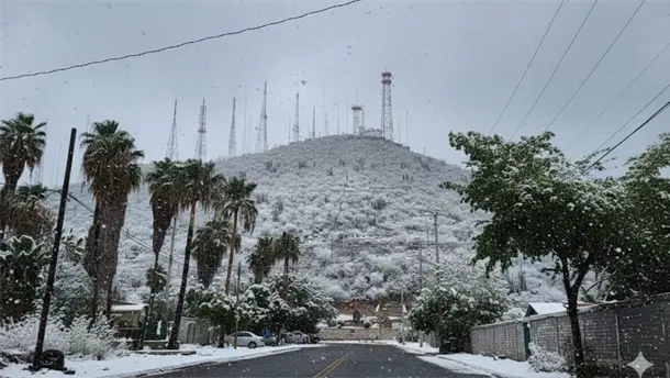 Nota Relacionada de Sinaloa