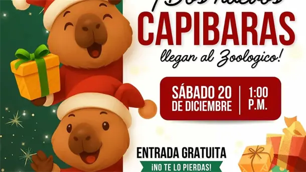 Nota Relacionada de Sinaloa