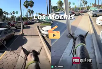 ¿Caballos en el Centro de Los Mochis?: video viral entre compras navideñas | VIDEO