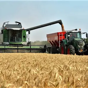 Gobierno de Sinaloa pide a SADER flexibilizar registros para pago a trigueros