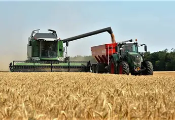 Gobierno de Sinaloa pide a SADER flexibilizar registros para pago a trigueros