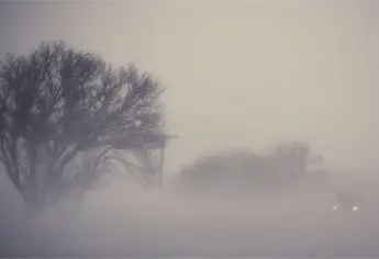 Prev&eacute;n bancos de niebla en estos municipios de Sinaloa