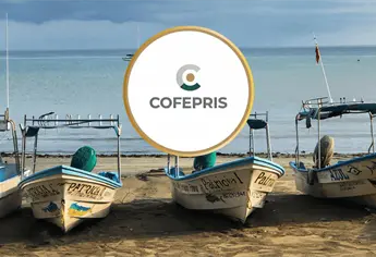 Cofepris: playas contaminadas no aptas para nadar en vacaciones navideñas