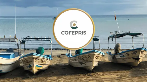 Nota Relacionada de M&eacute;xico